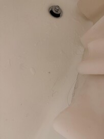 Hairs all in the shower.