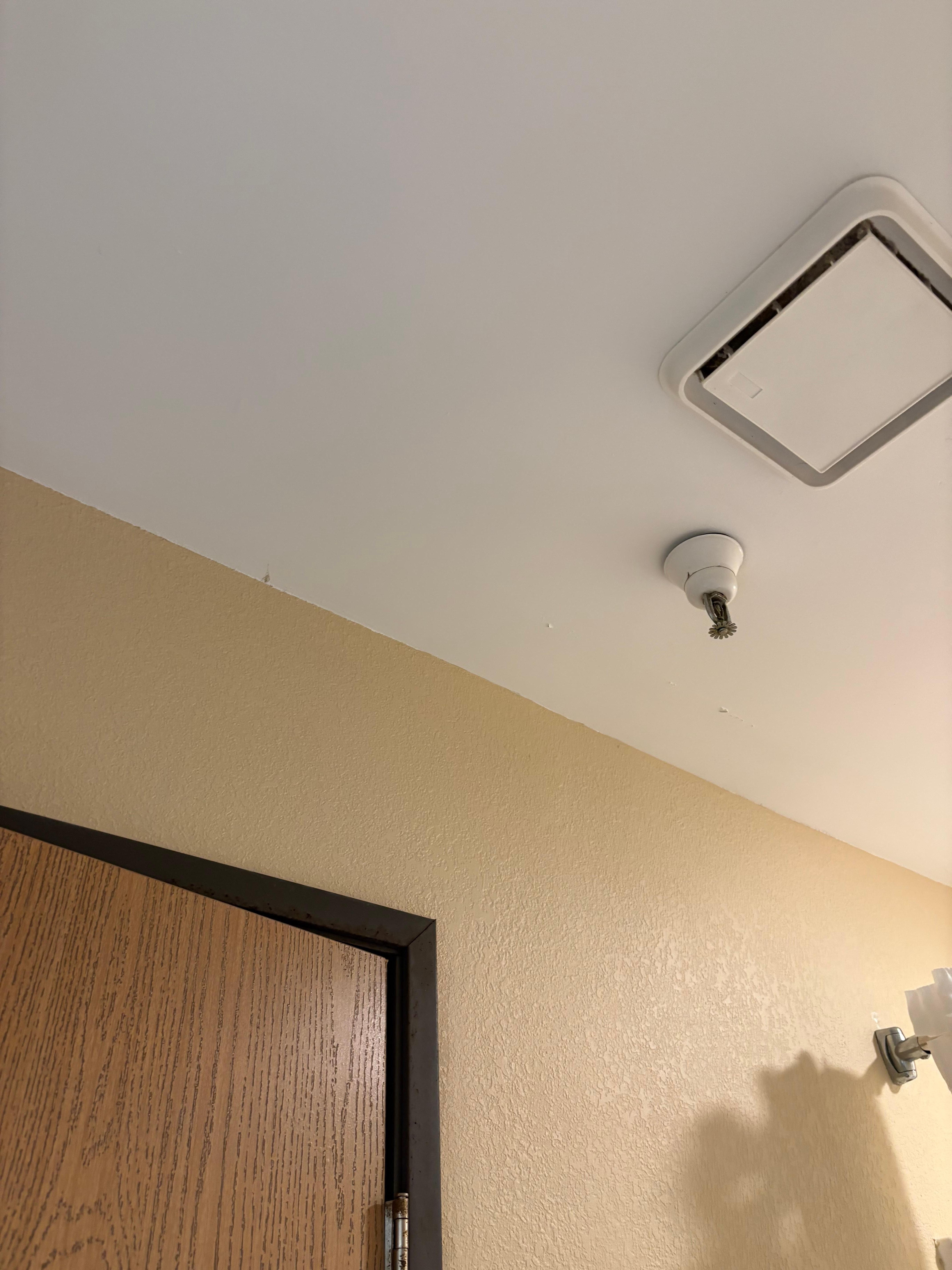 Web hanging in bathroom 