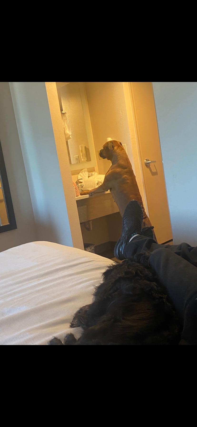 Our girl checking herself out in the mirror (all the stays)! 