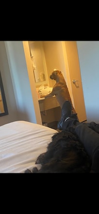 Our girl checking herself out in the mirror (all the stays)!