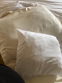 Their version of luxury pillows