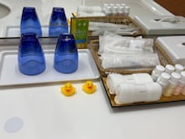 Ducklings may welcome you in the bath room!