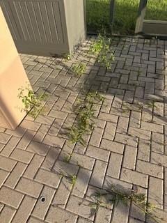 Weeds on Patio. I was promised they would be sorted but never happened