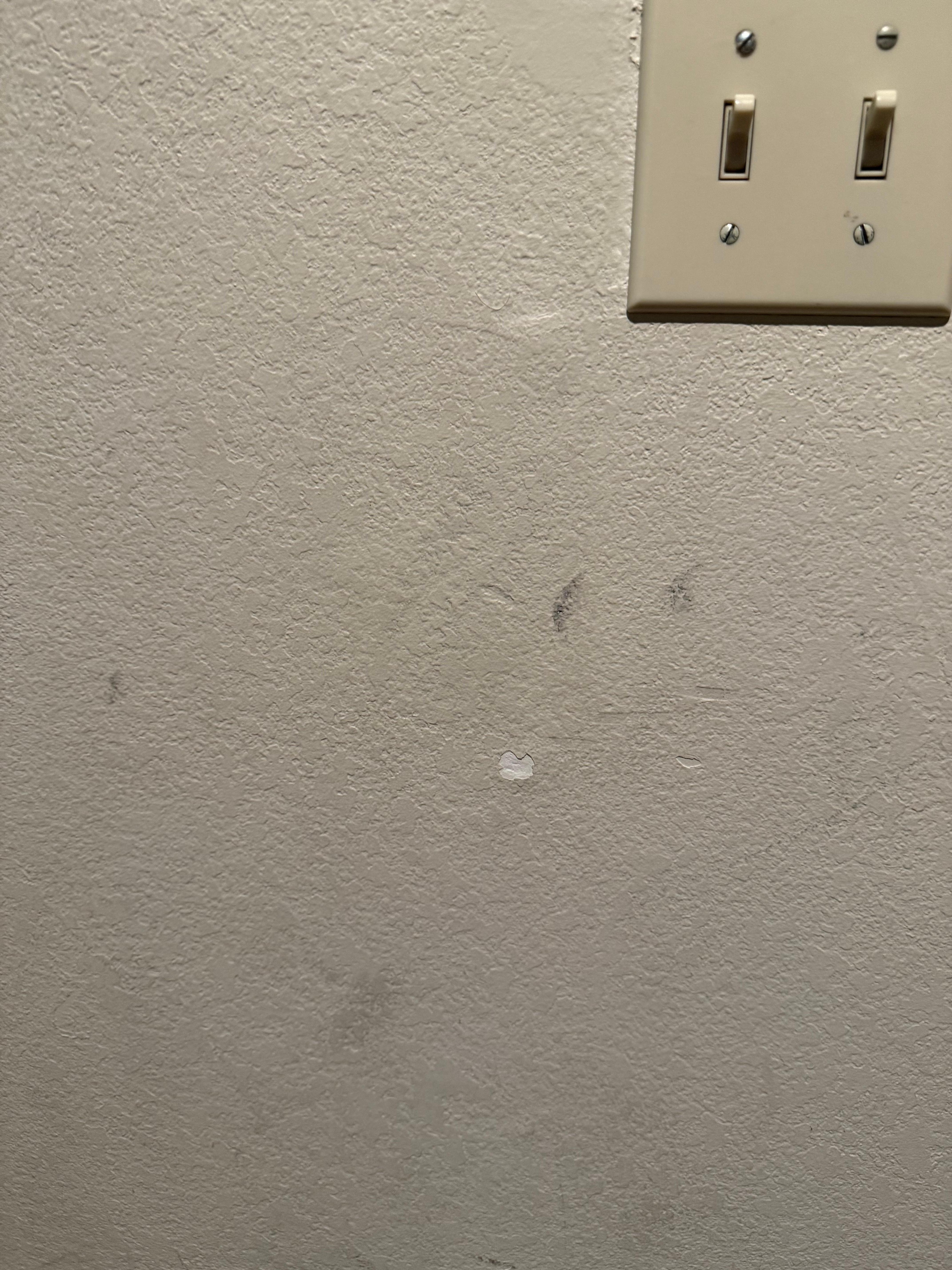 Walls are dirty, scratched up and the entire place needs new paint or touch ups