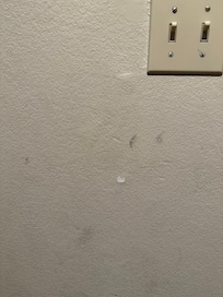 Walls are dirty, scratched up and the entire place needs new paint or touch ups