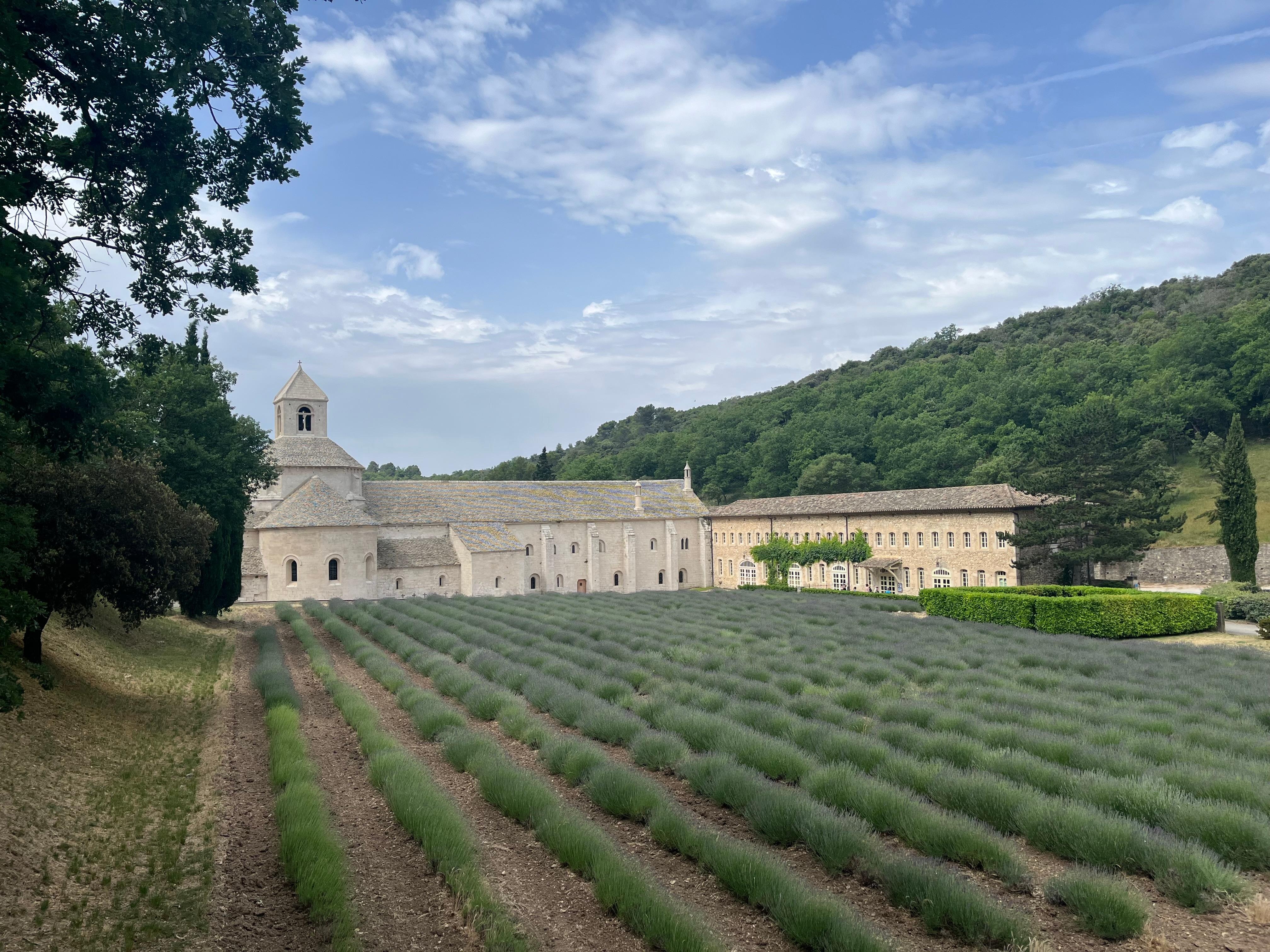 Zur Zeit der Lavendelblüte