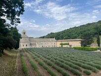 Zur Zeit der Lavendelblüte