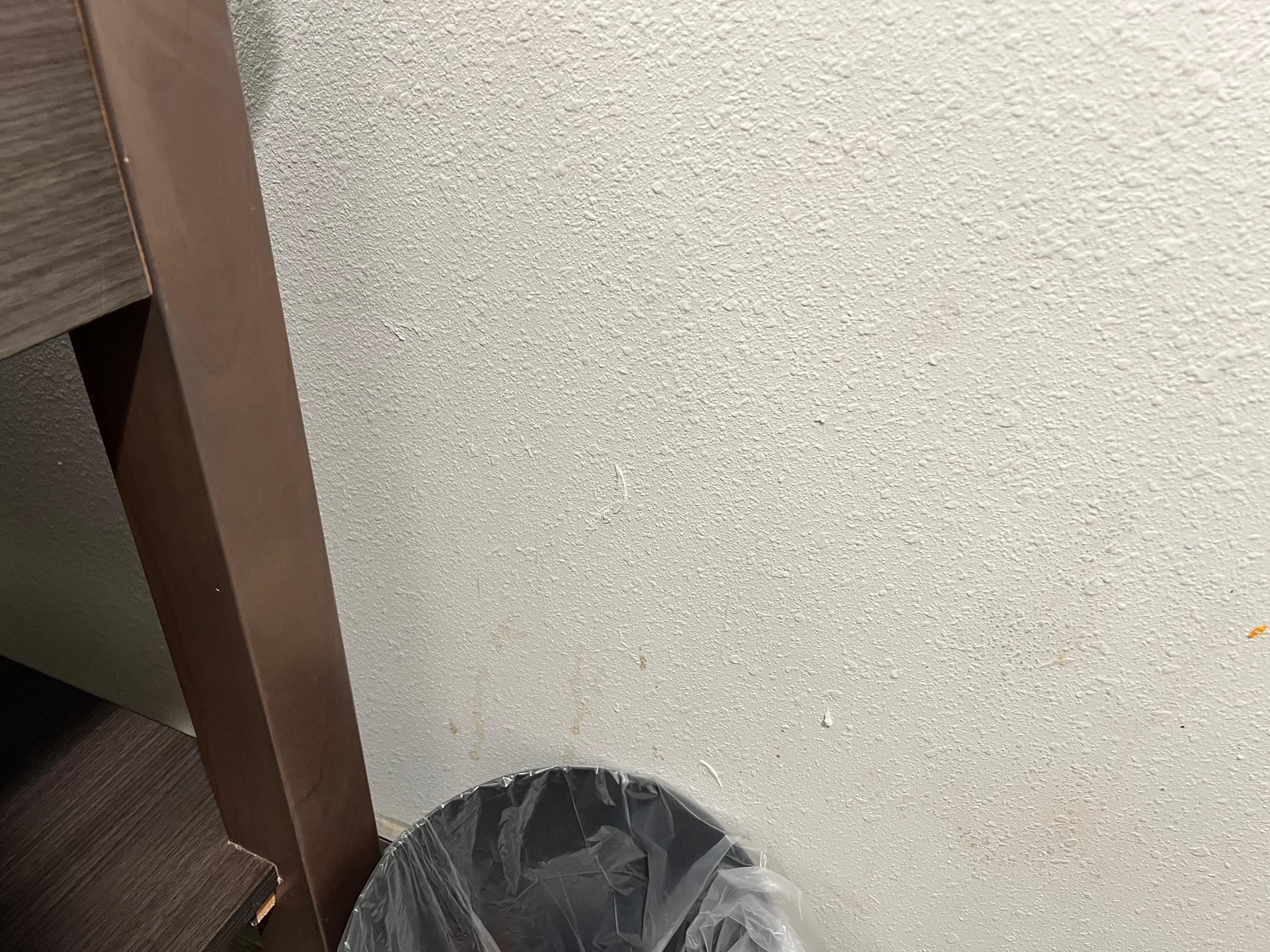 Liquids on the bathroom wall.