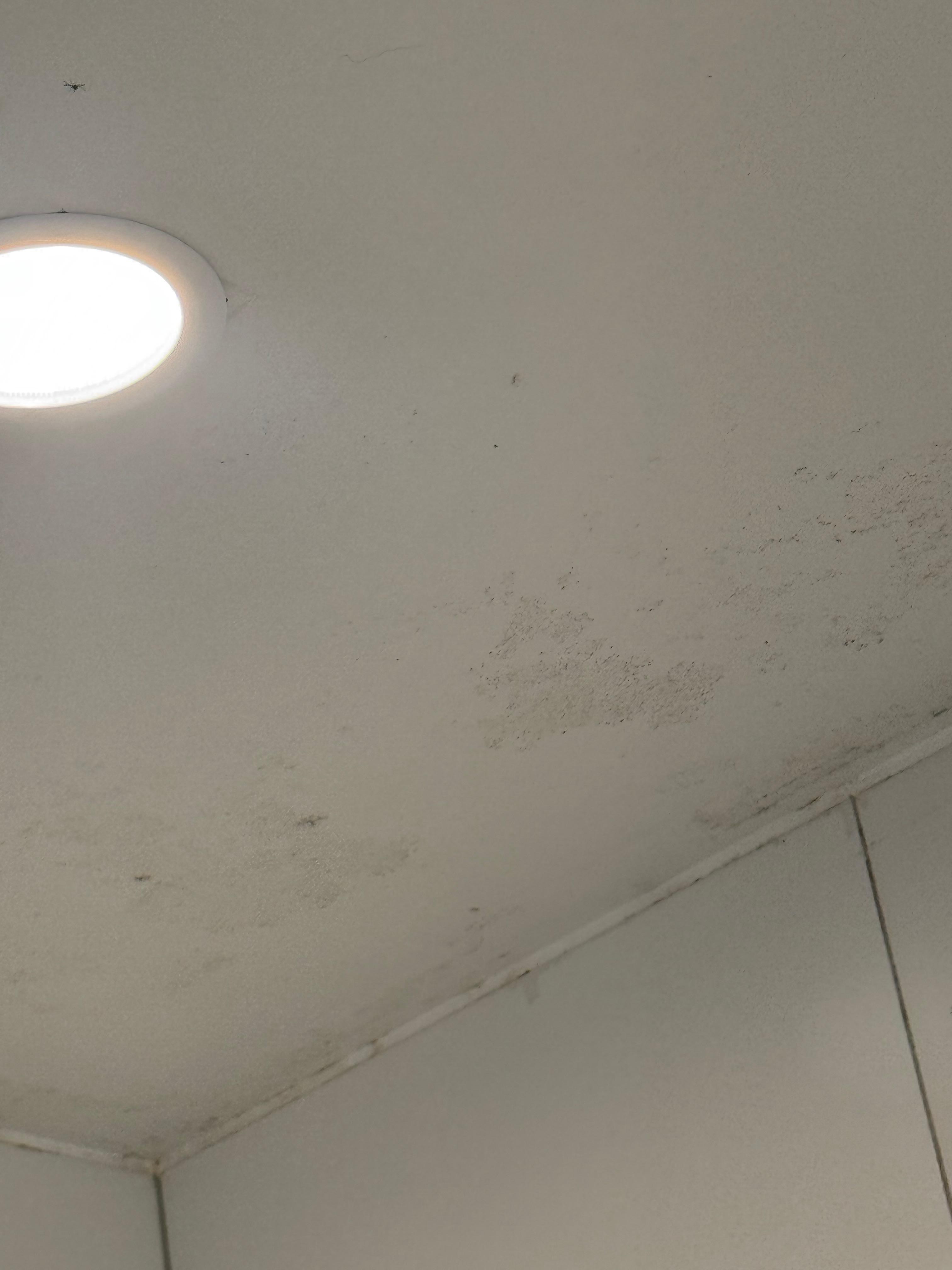 Mold on the shower ceiling