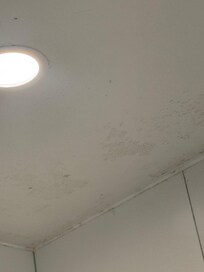 Mold on the shower ceiling