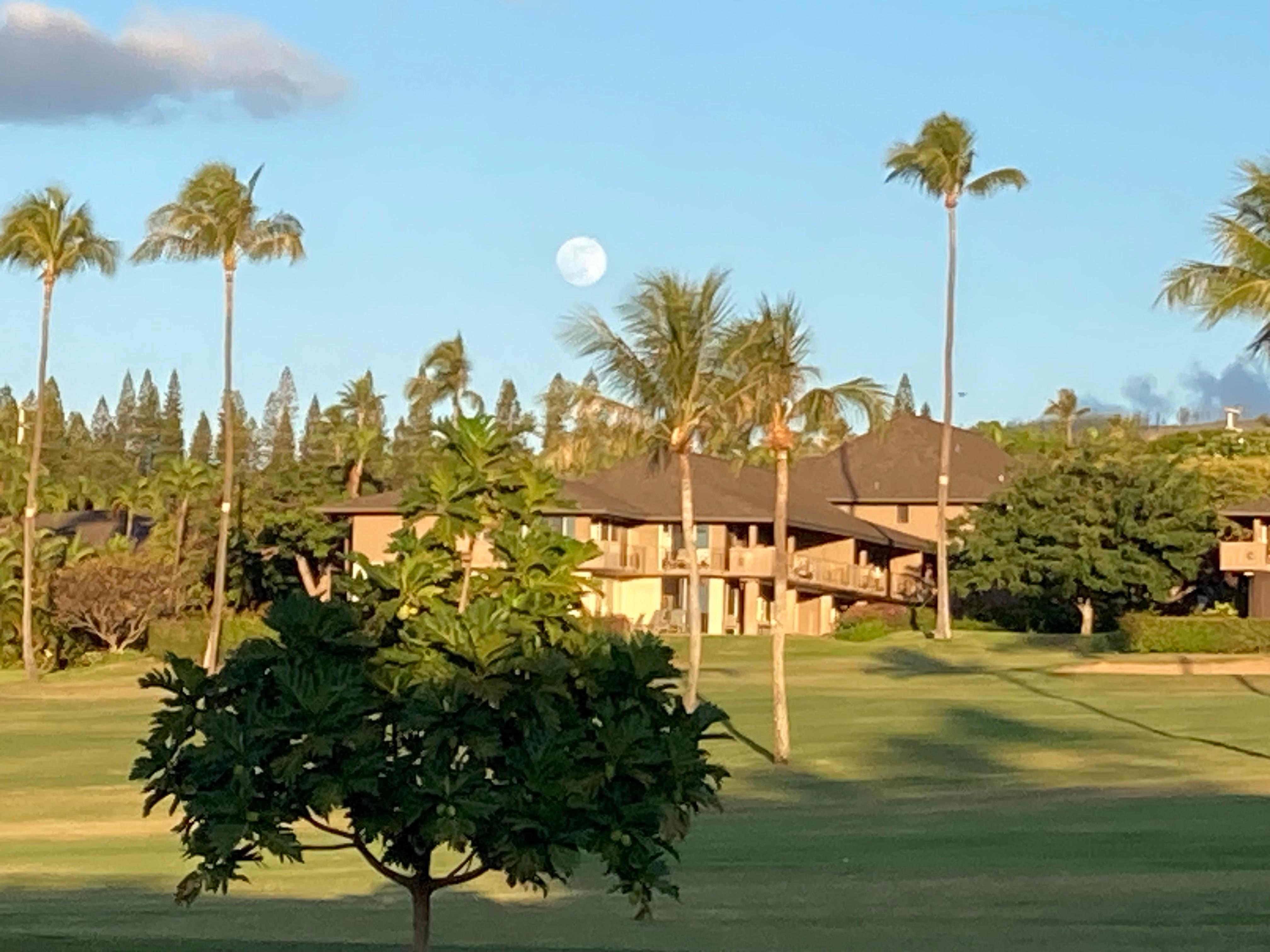 Walk to the beach cabana (5 min)