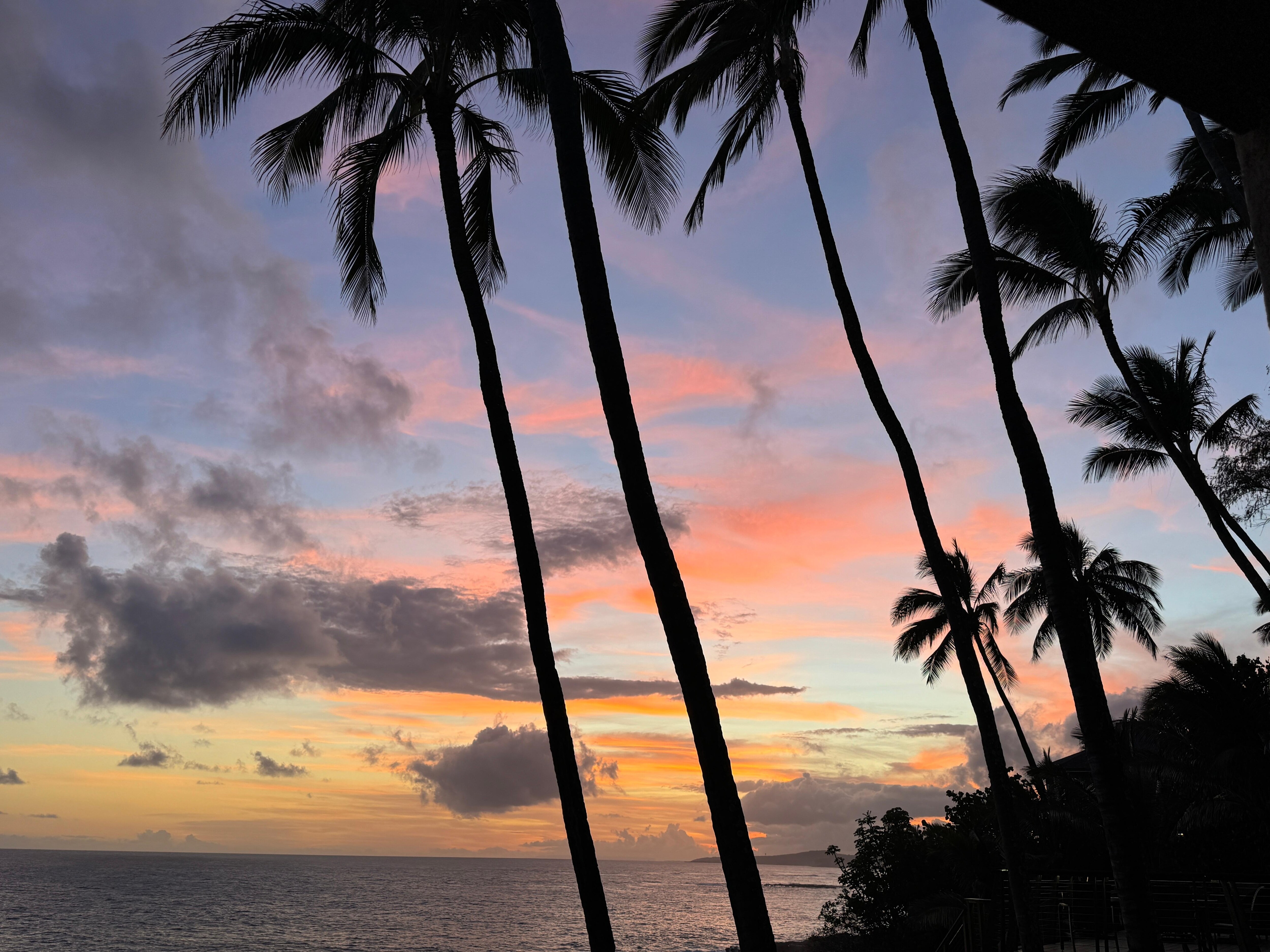 From the balcony. 