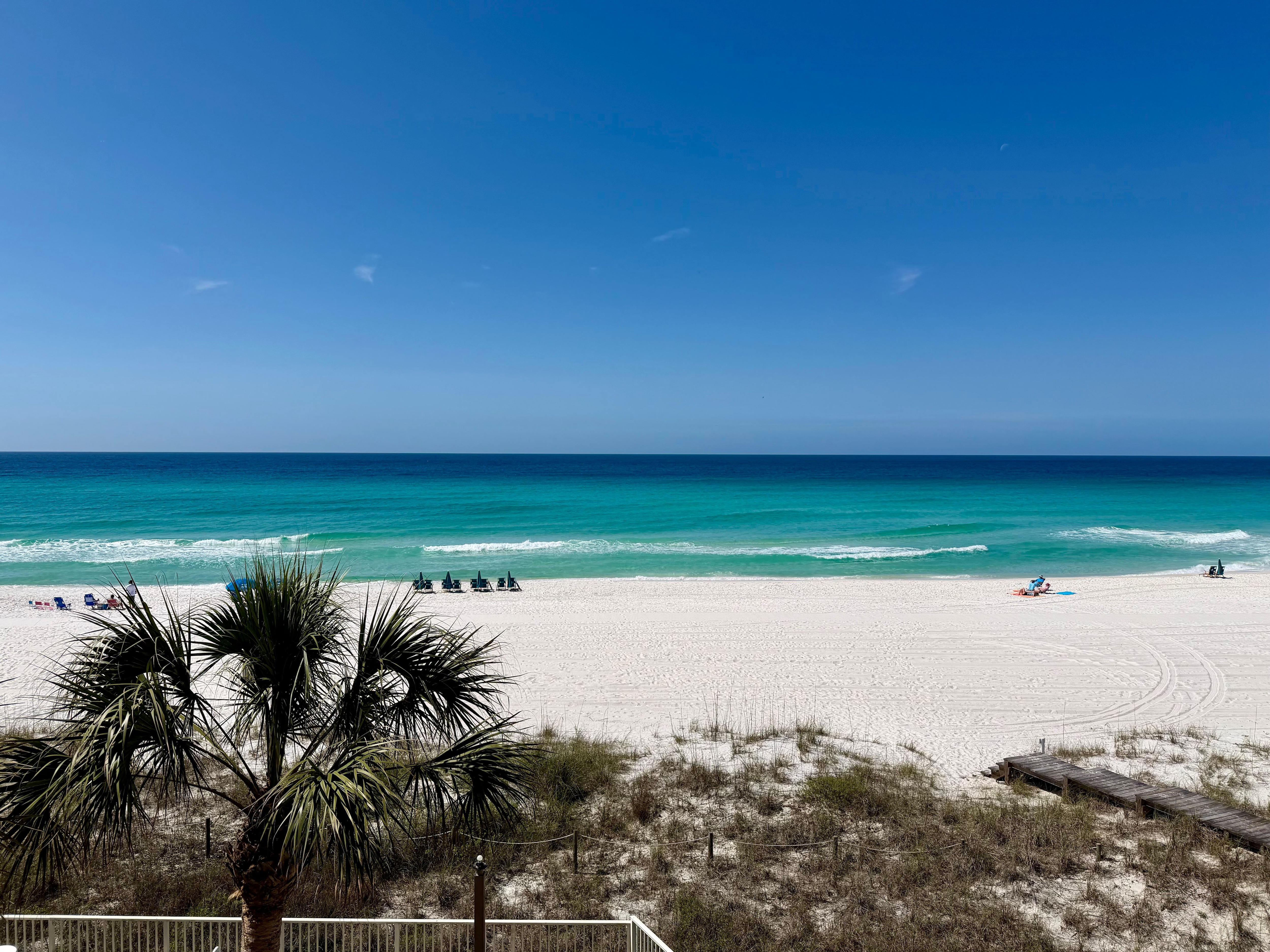 View from the patio. 