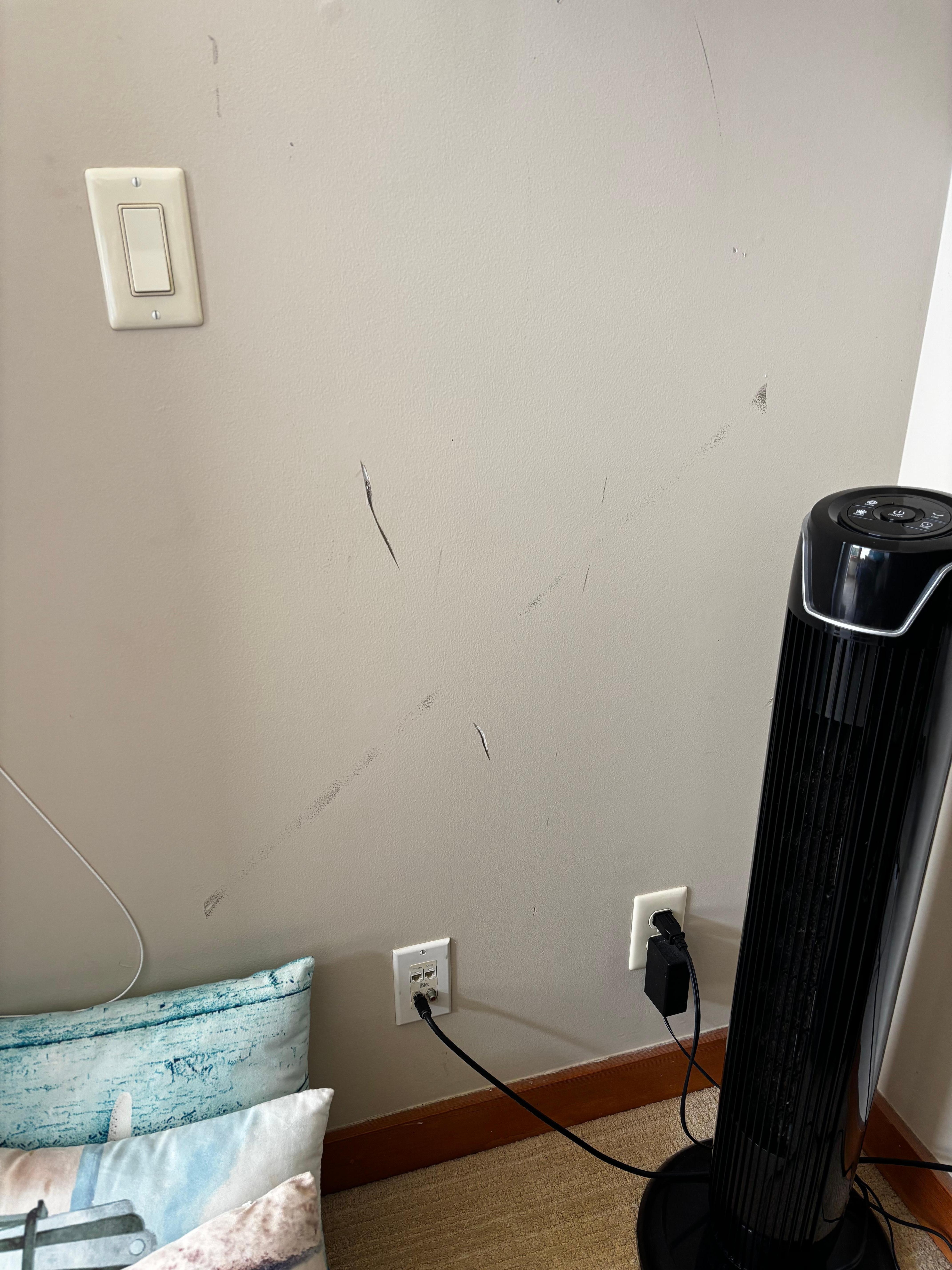 Wall damage throughout the house 