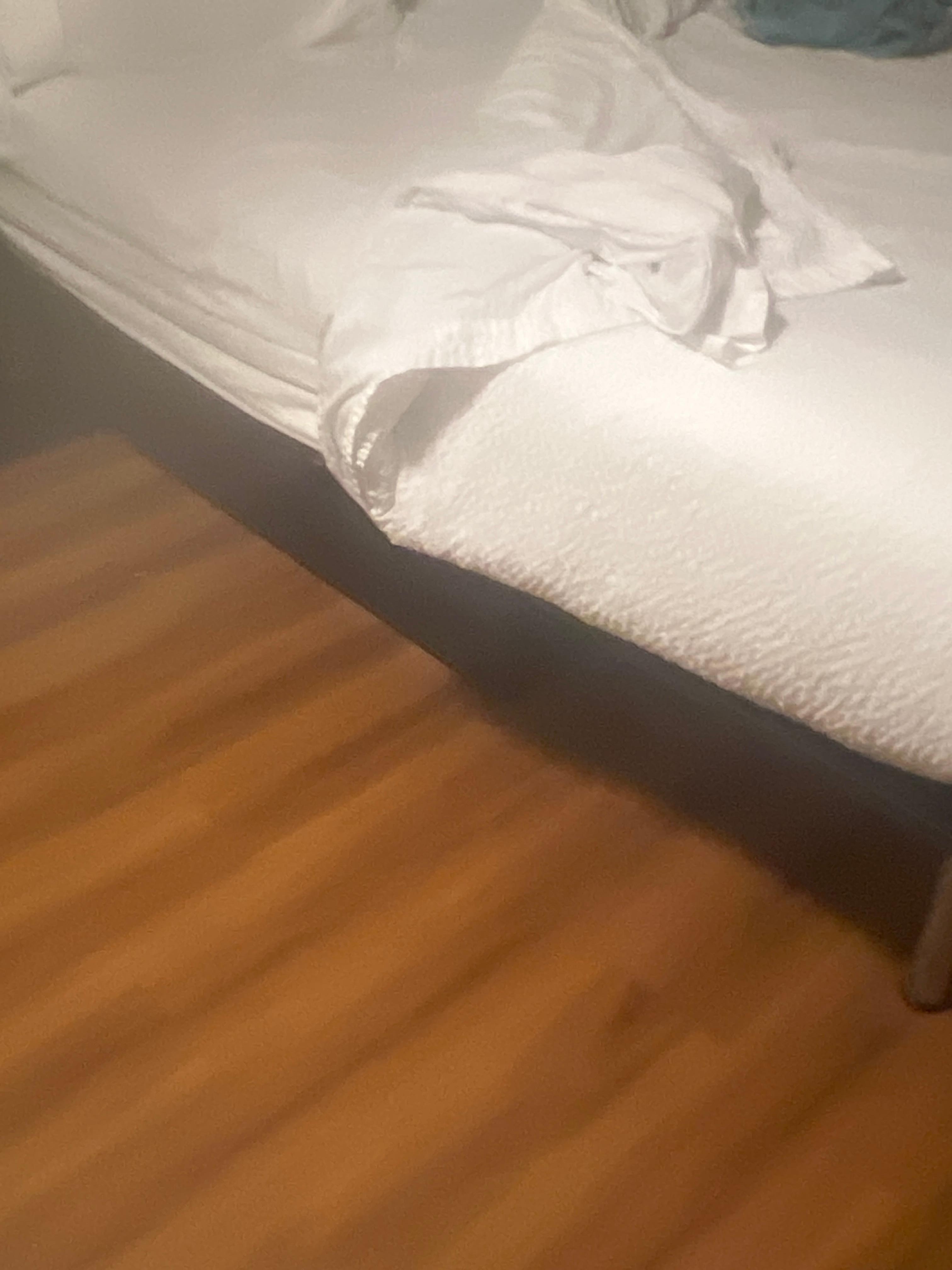 Cheap, uncomfortable bed