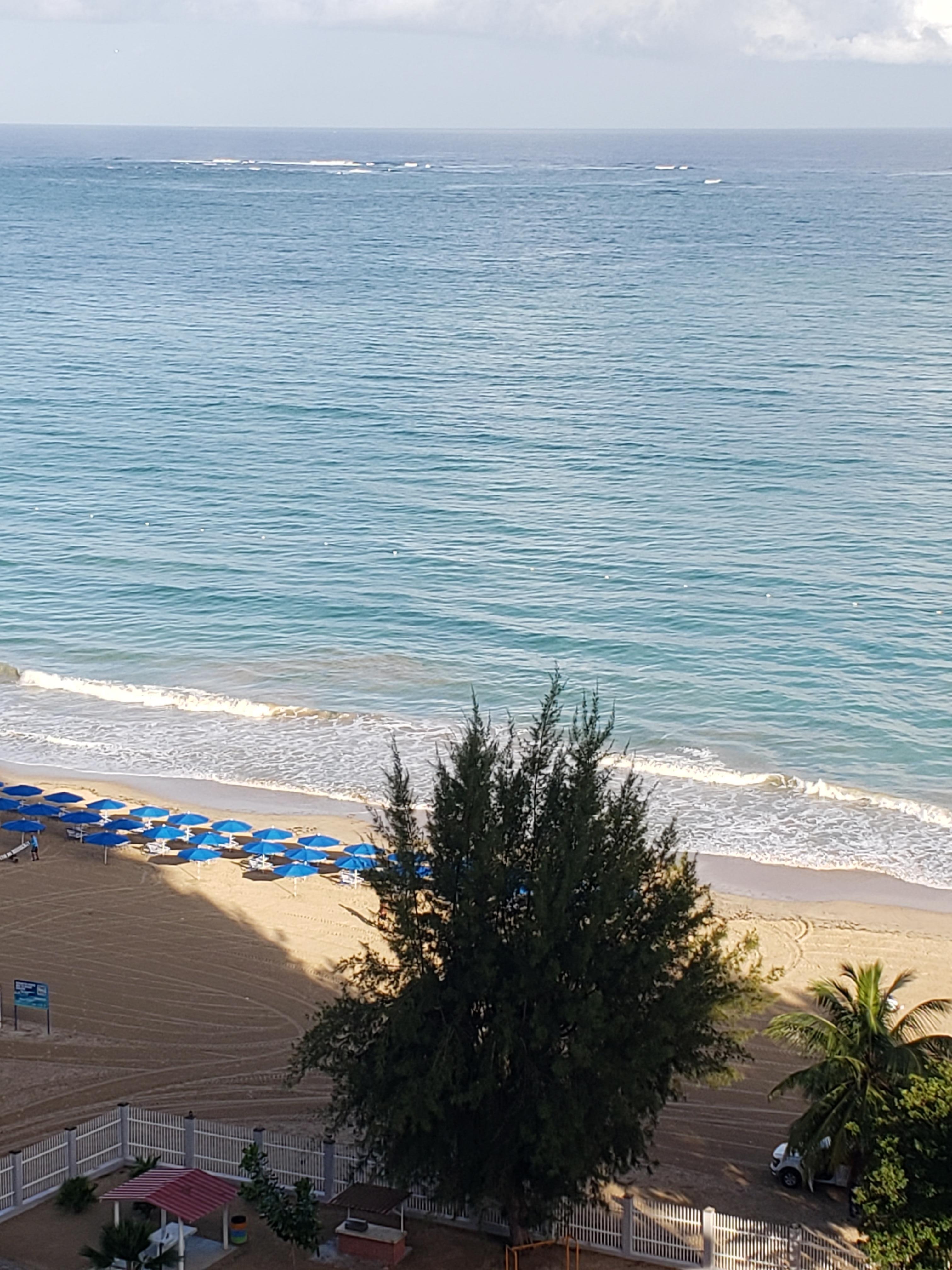 Morning ritual. Sitting on the balcony drinking my health juice.