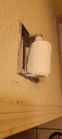 There wasn't enough toilet paper for both of us.