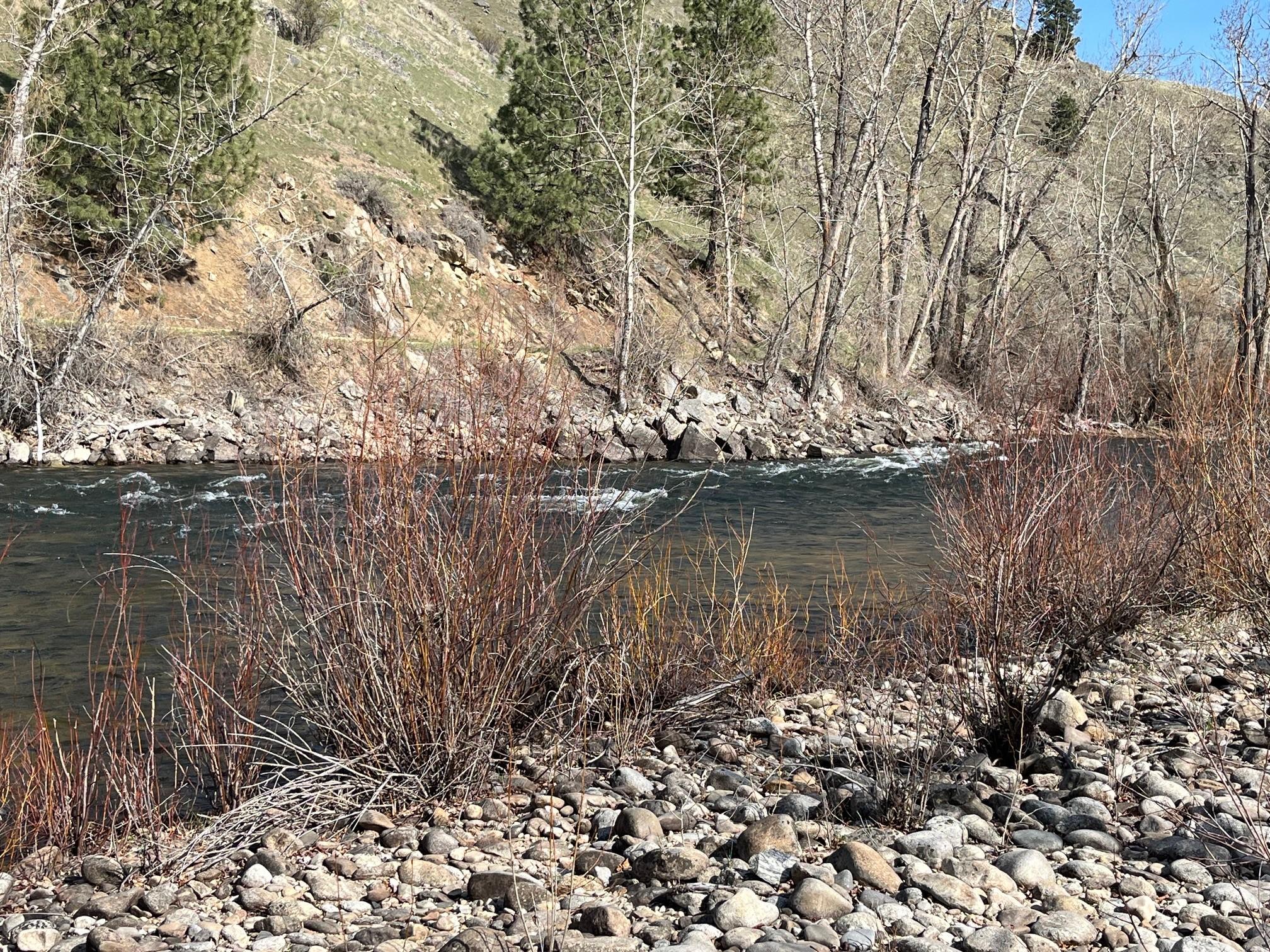 Bitterroot River behind the property.