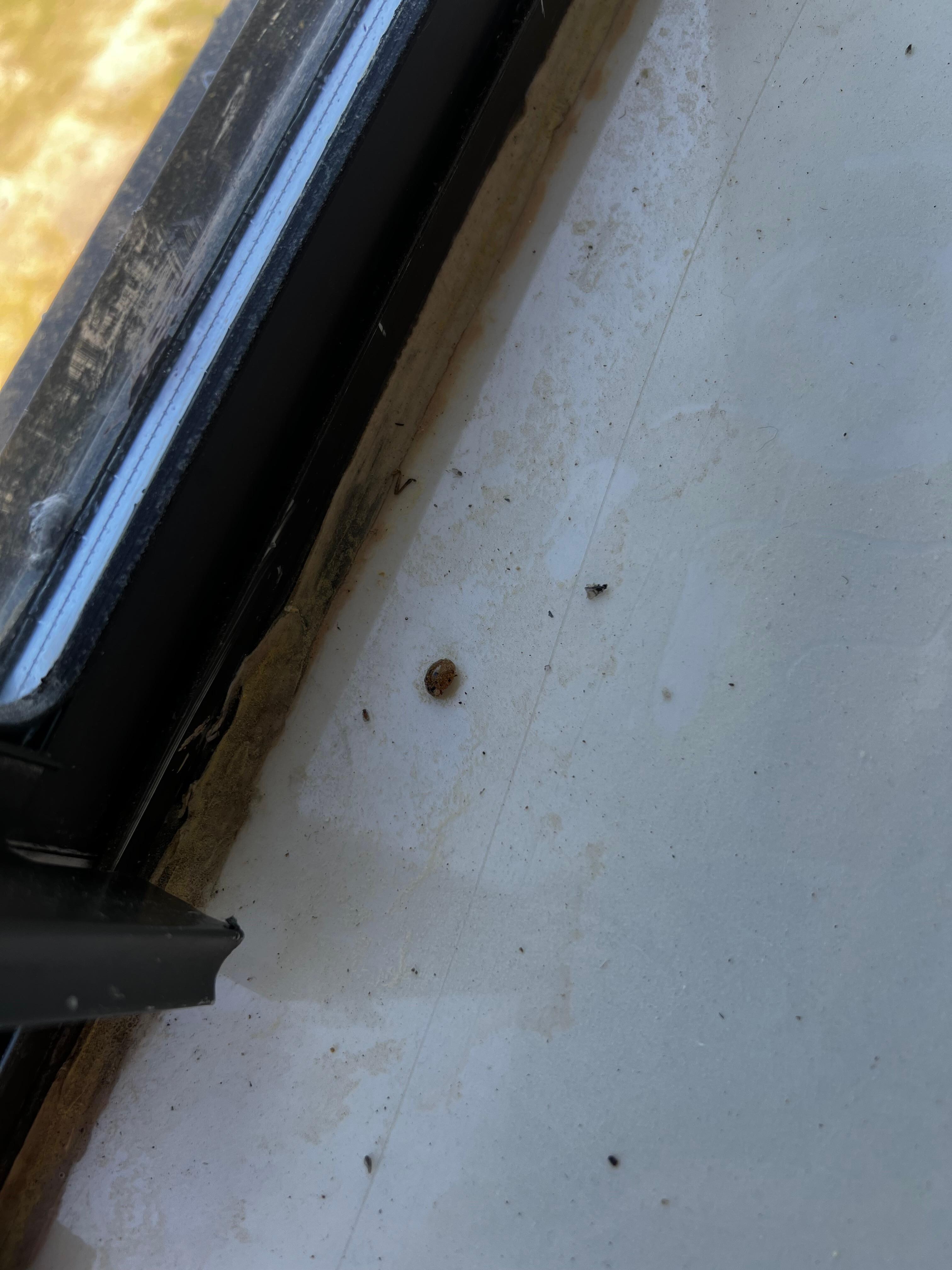 Window sill