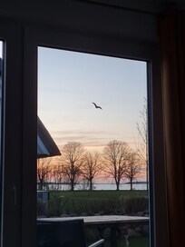 Blick aus dem Wohnzimmer