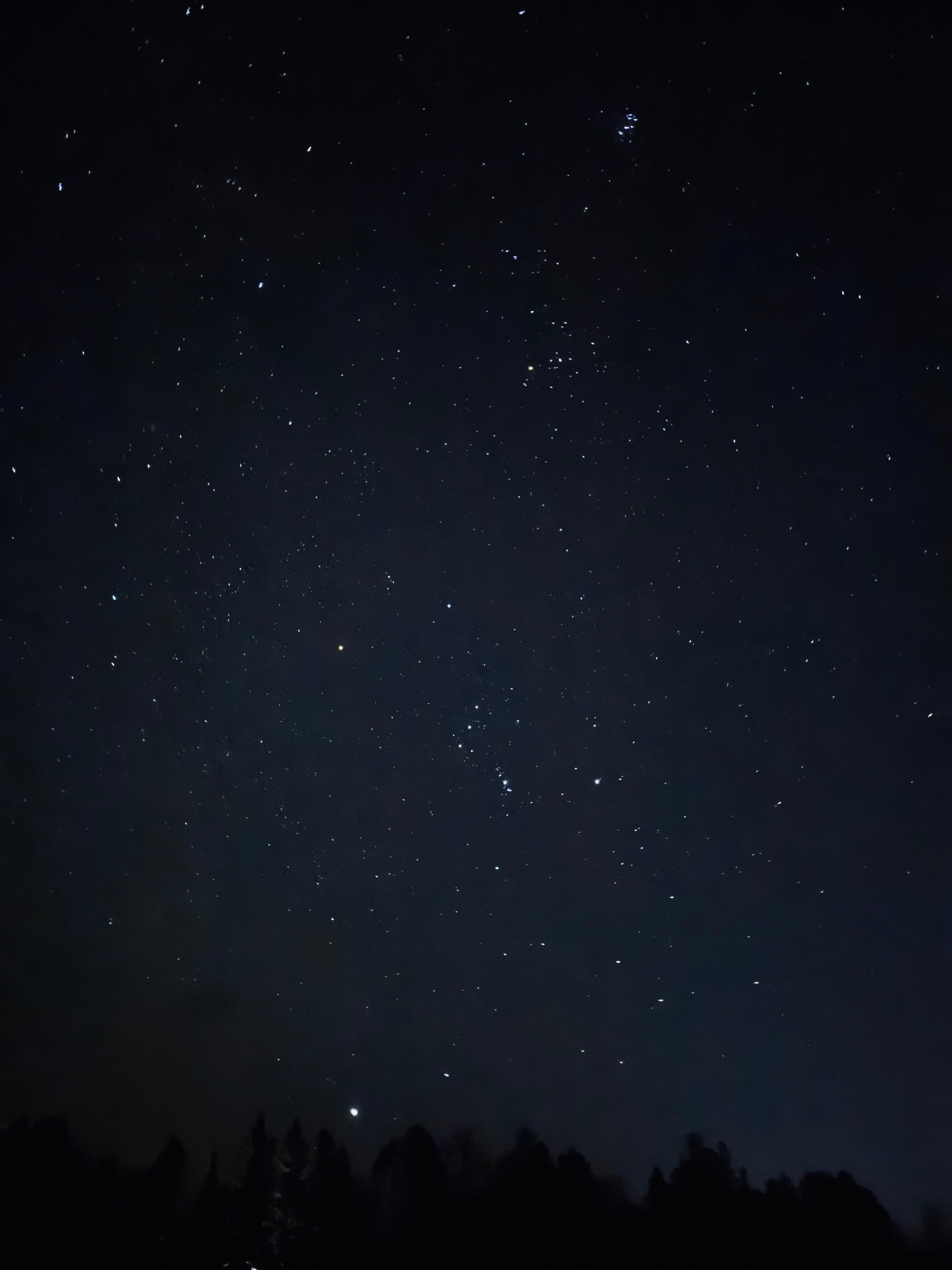 Night sky off the pier!  