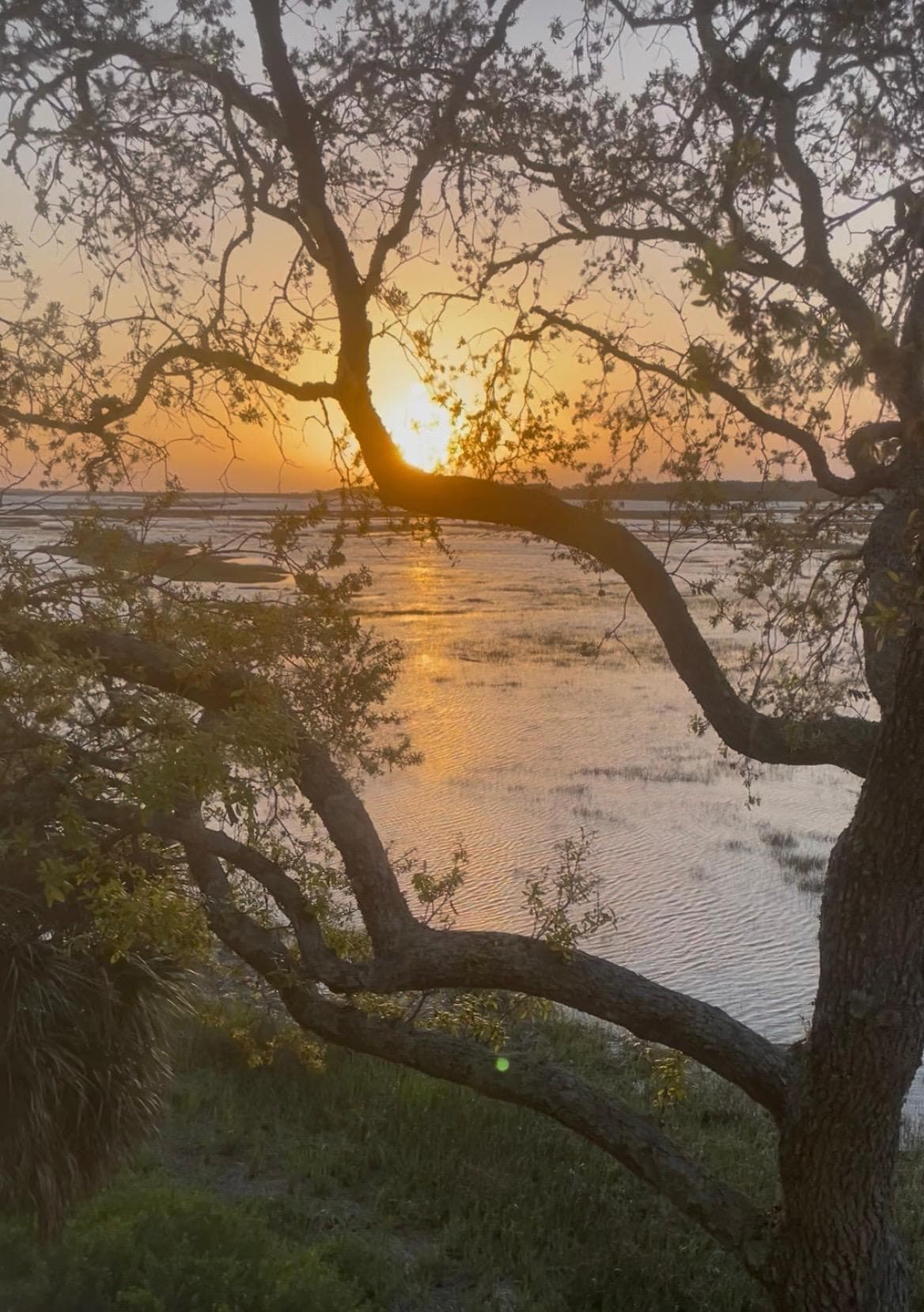 Folly beach lighthouse in the background! To wake up to this and go to bed looking at this and the beautiful marsh was amazing!!!