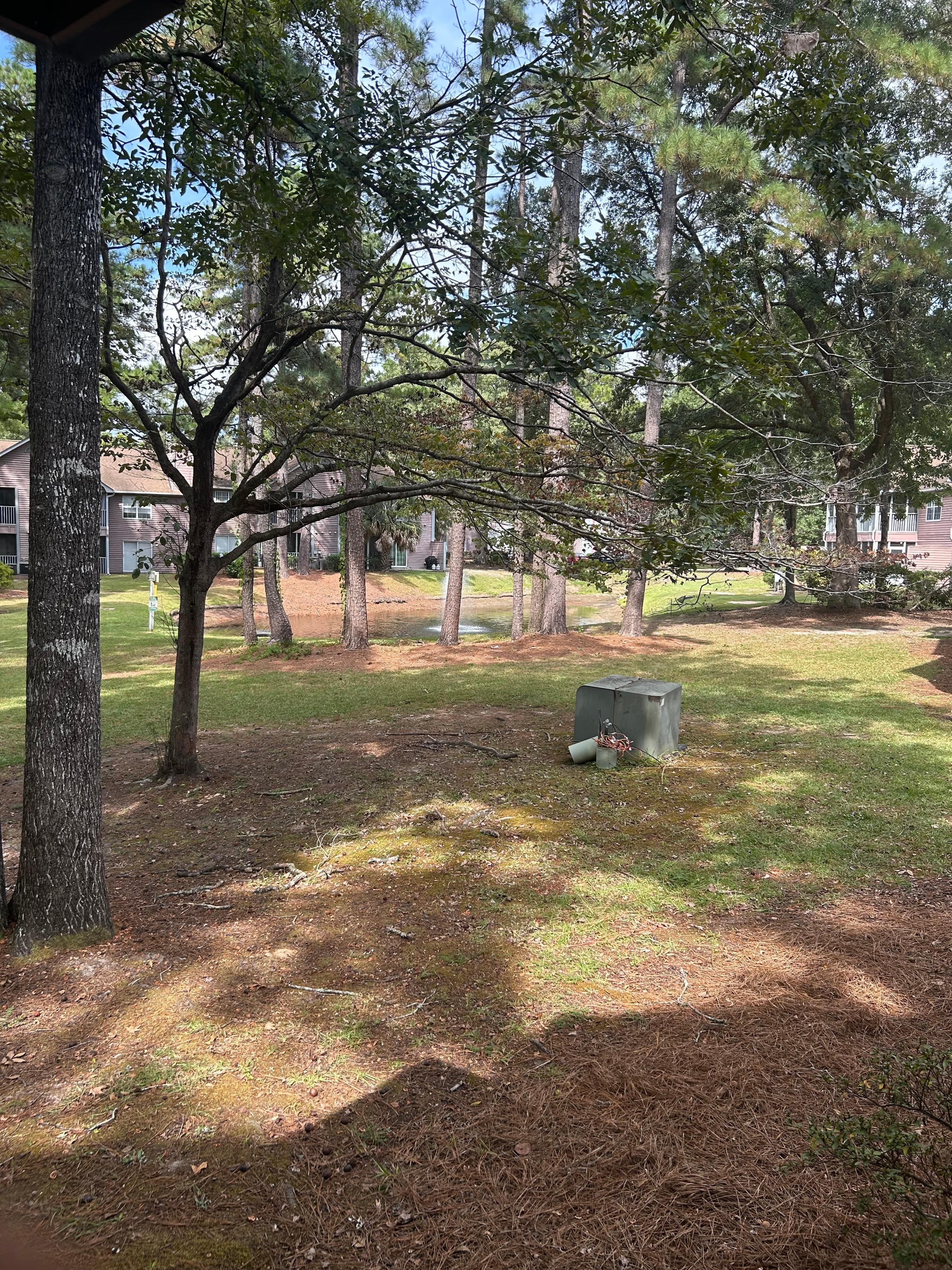 From the front patio. Loved everything about this place. 