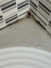 Shower had black mold
