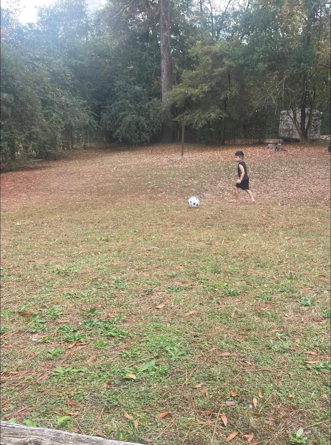 The backyard was huge. Perfect for my kids. 