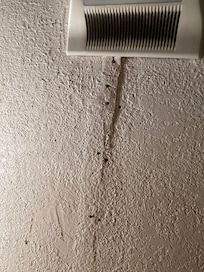 Ceiling crack