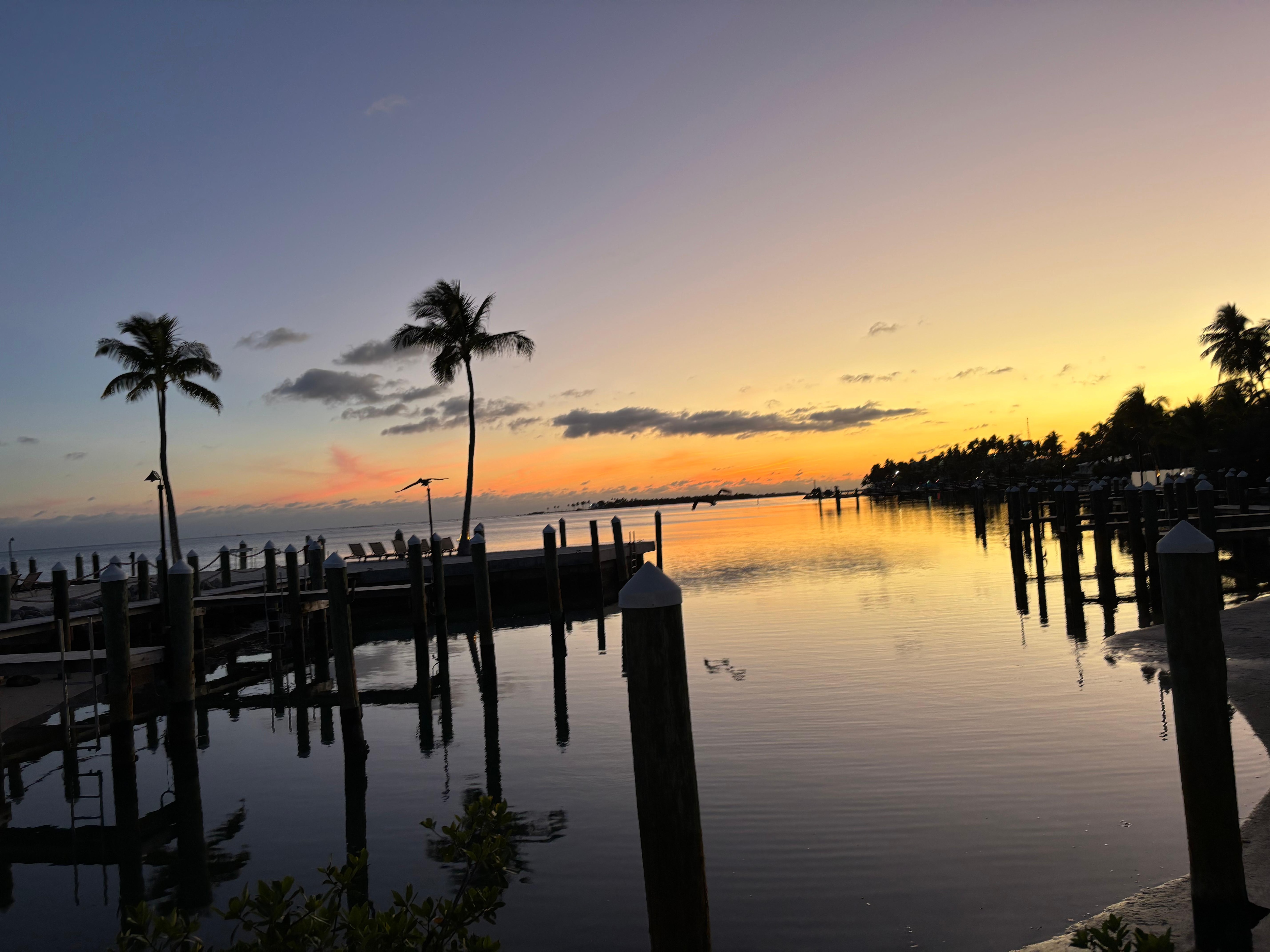 Docks for the resort. 