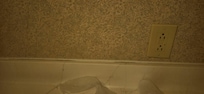 Mold at bathroom and there was 4 different places where mold was growing