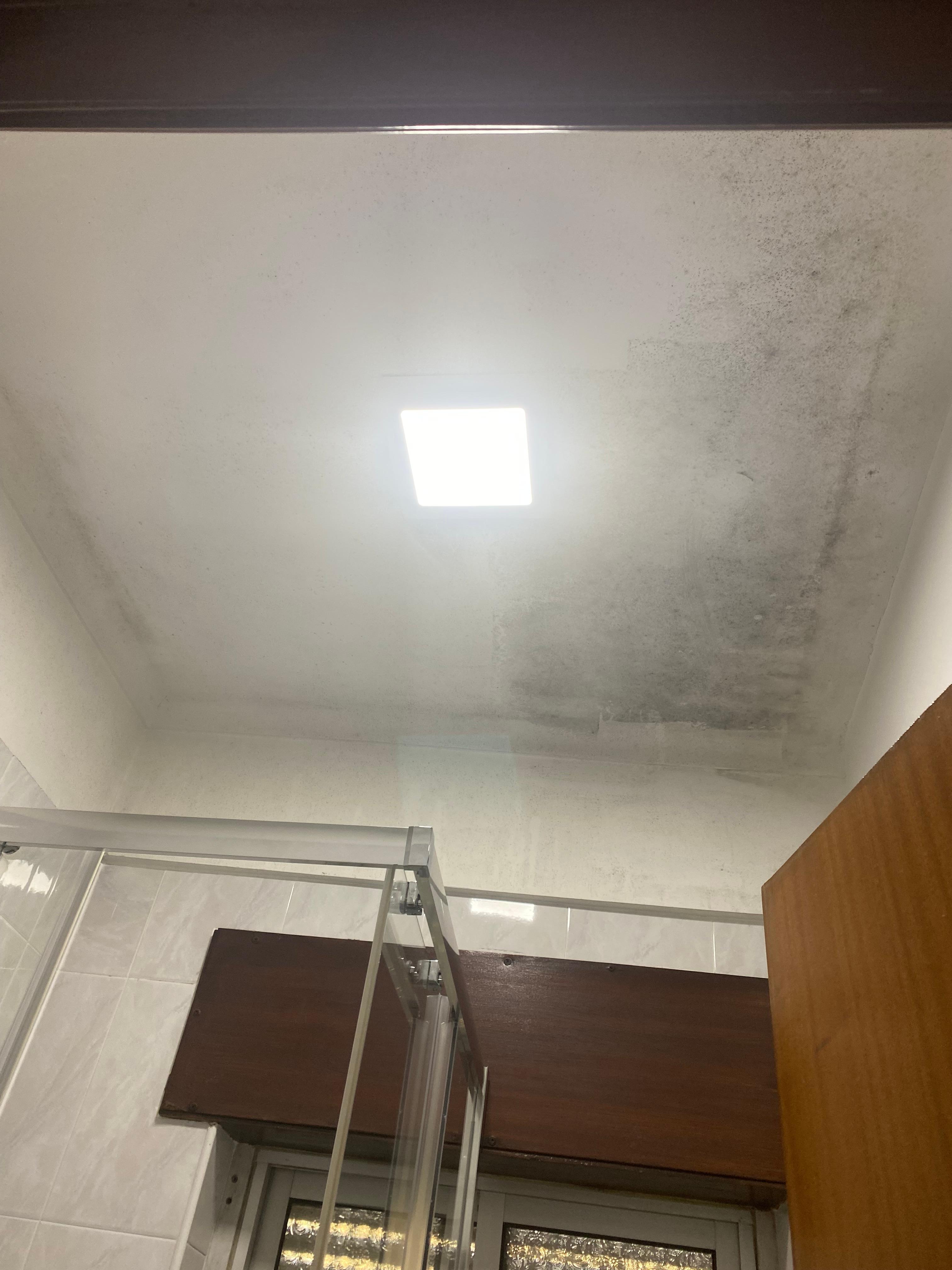 Mold in the bathroom