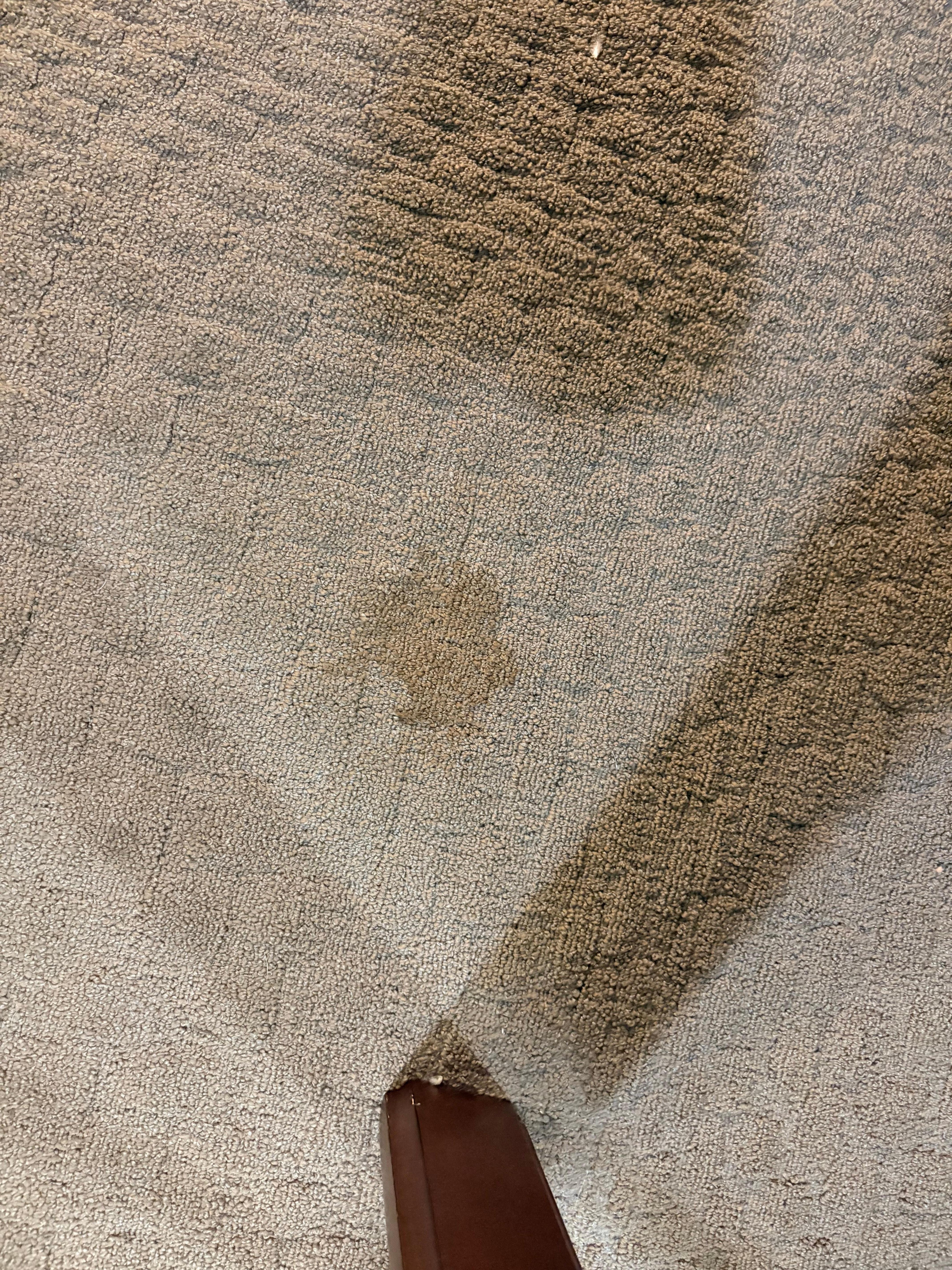 One of several carpet stains 