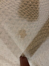 One of several carpet stains