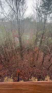 The woods behind the house made us feel so tucked away!