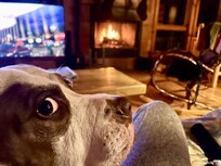 Our girl enjoying the warm fireplace