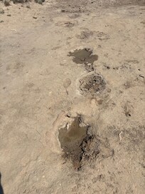 Dinasour foot prints at Black Mesa State Park, OK. Well worth the visit and night sky was incredible. Love Black Mesa SP out of the way but so worth the jurney.