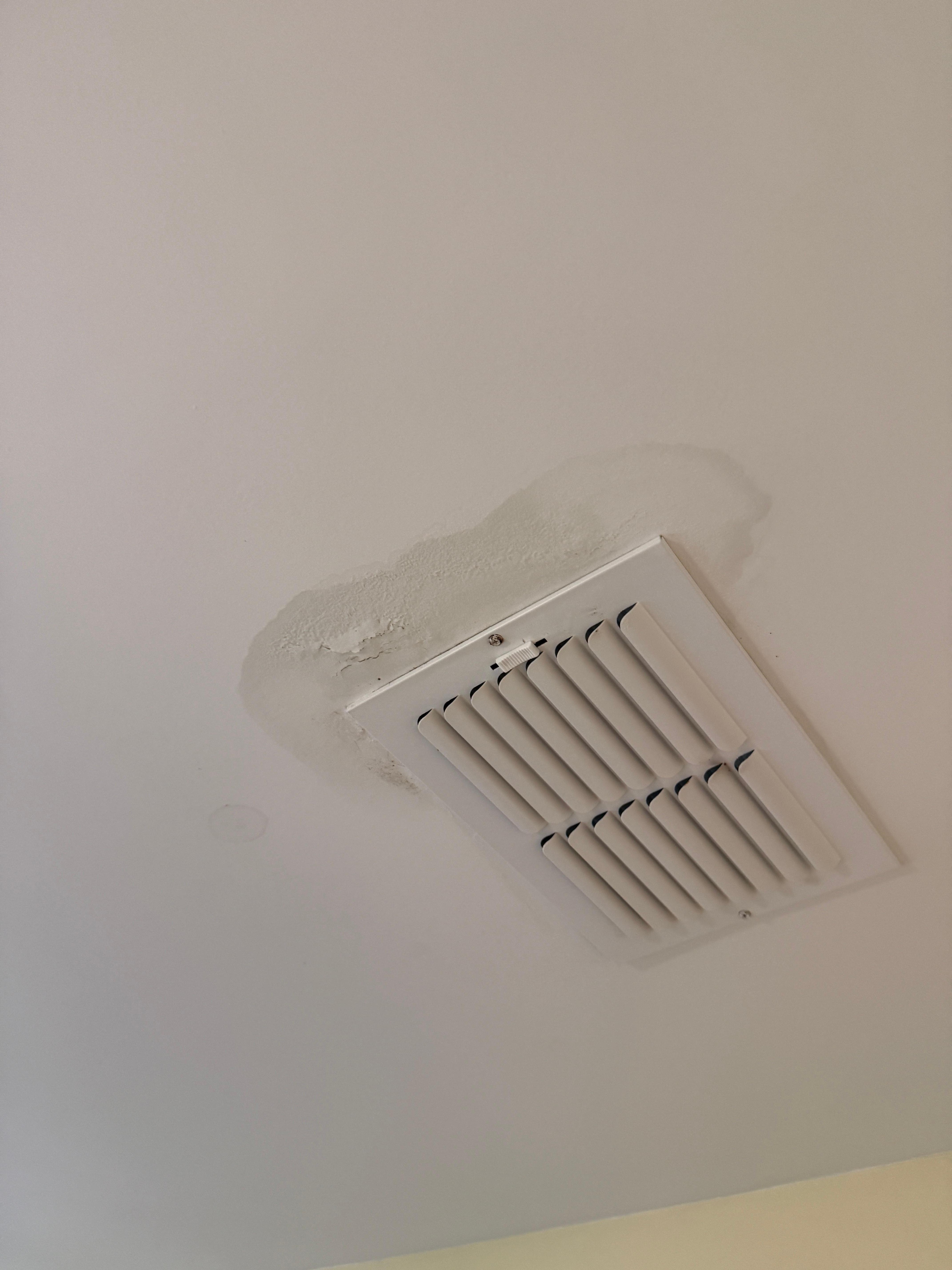 Water spot on basement master bedroom that leaked in floor.