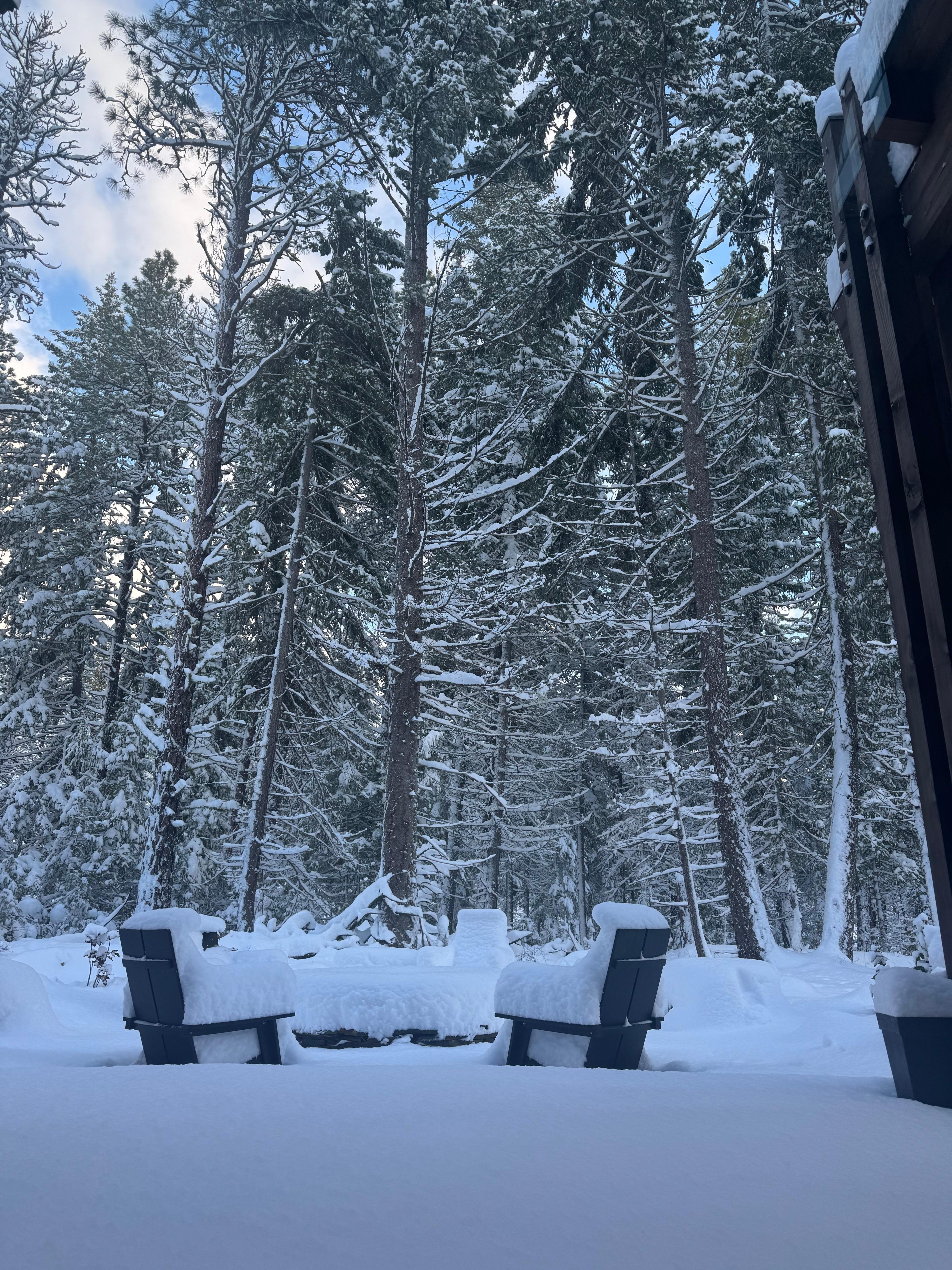 Last night before check out we got the full snow white experience that was perfect 