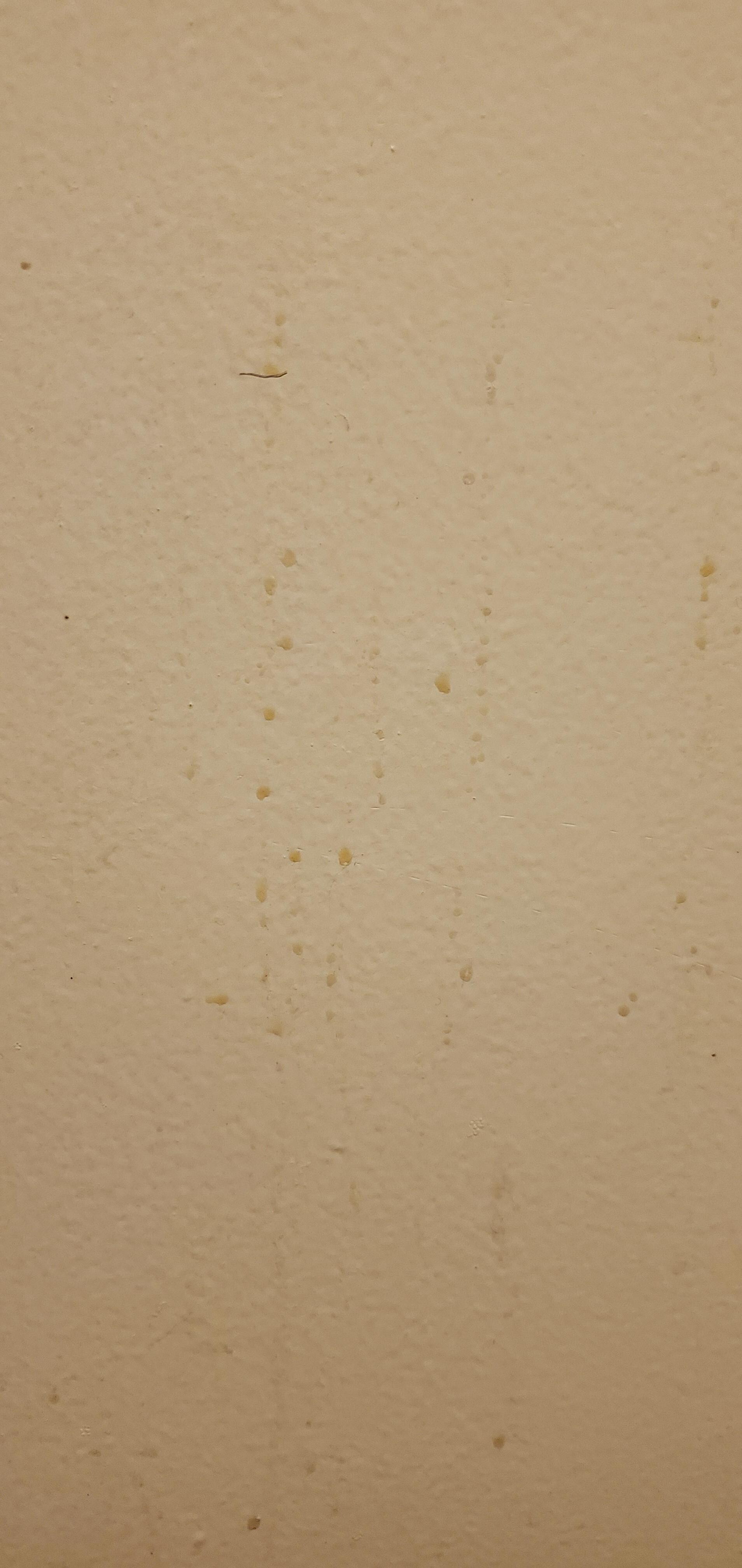 Urine spray on the bathroom door (eye level)