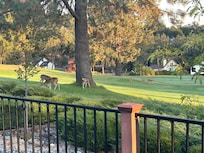 From the back outside deck