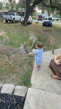 The daily visits were a great highlight.