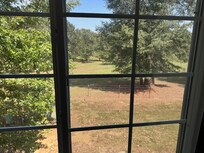 the view from my room