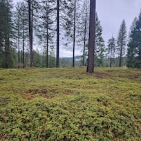 View while walking on a trail near the house.