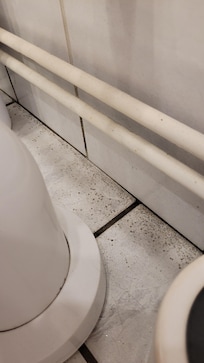 Schimmelsporen auf dem Boden