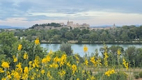 View from the terrace