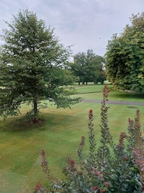 View from my window