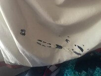 Sheets