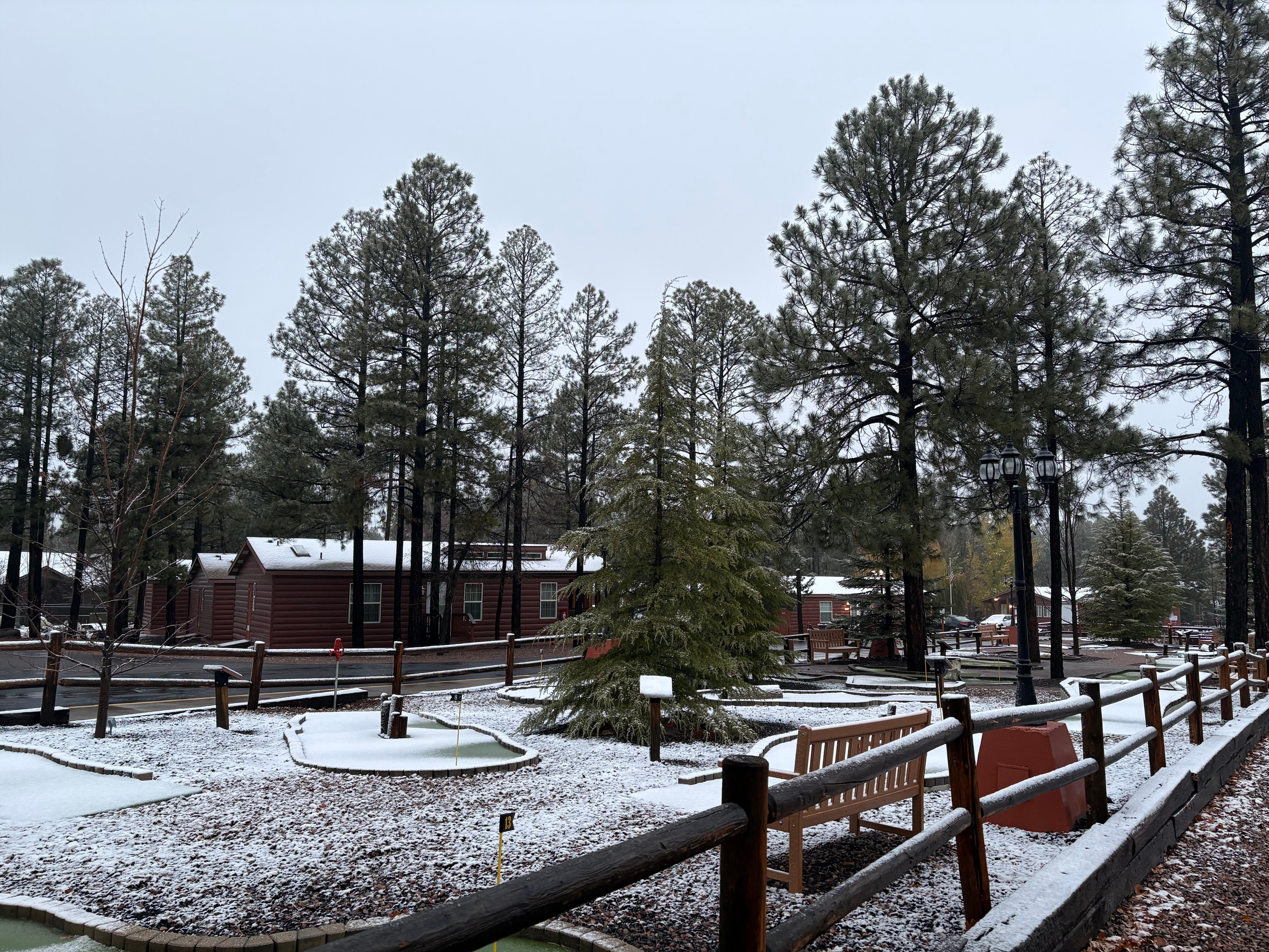 Snowy morning in late November 